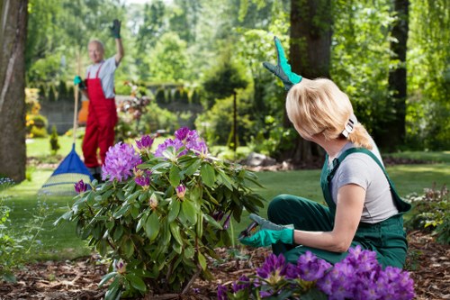 Tree surgeons in Norbiton providing professional arboricultural care