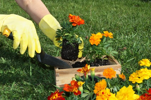 Local stump grinding service for homes and businesses in Norbiton