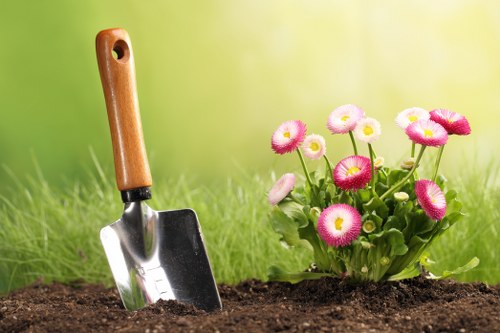 Public liability insurance and professional tree care in Norbiton